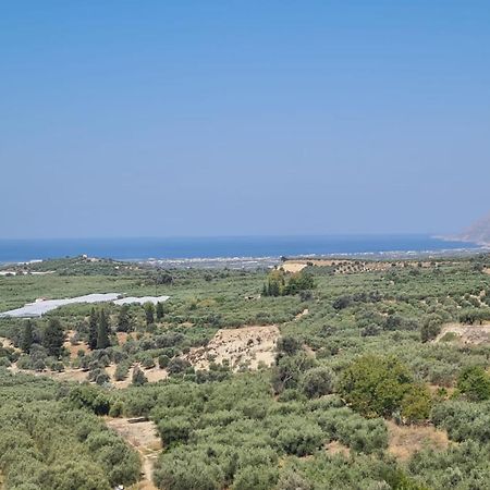 Villa Kamelia-Renovated Old House-South Crete Galiá Kültér fotó