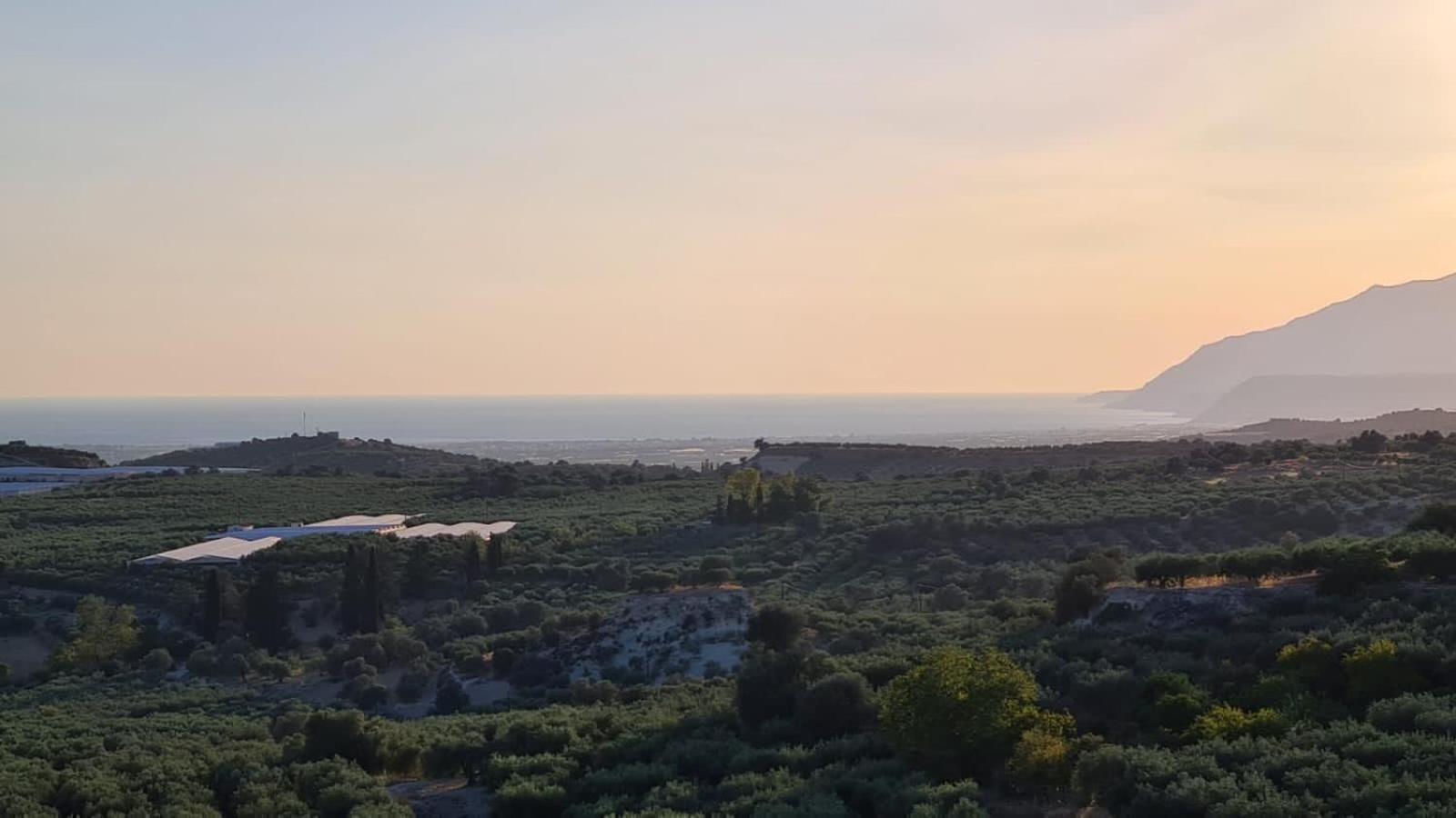 Villa Kamelia-Renovated Old House-South Crete Galiá Kültér fotó