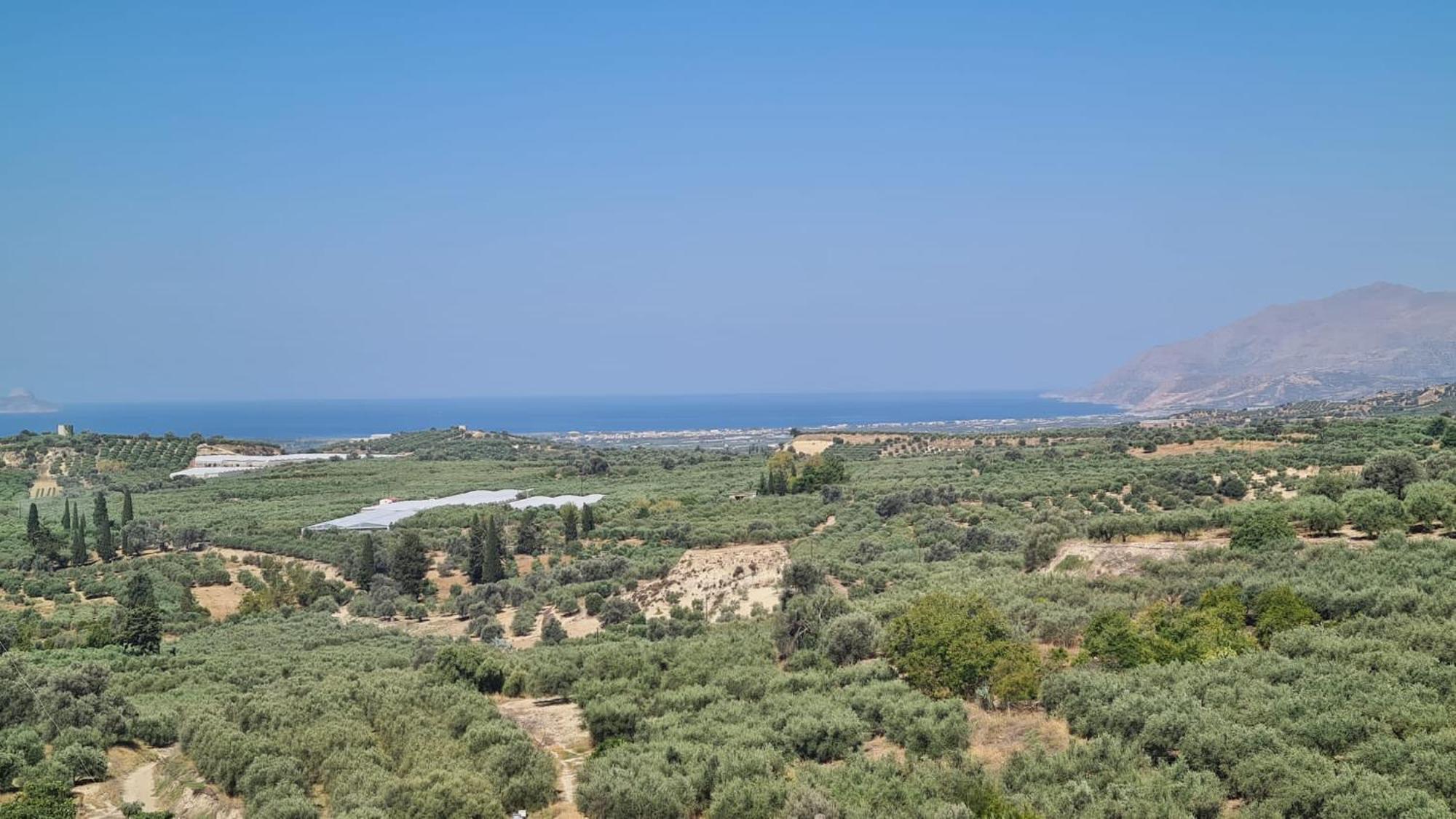 Villa Kamelia-Renovated Old House-South Crete Galiá Kültér fotó