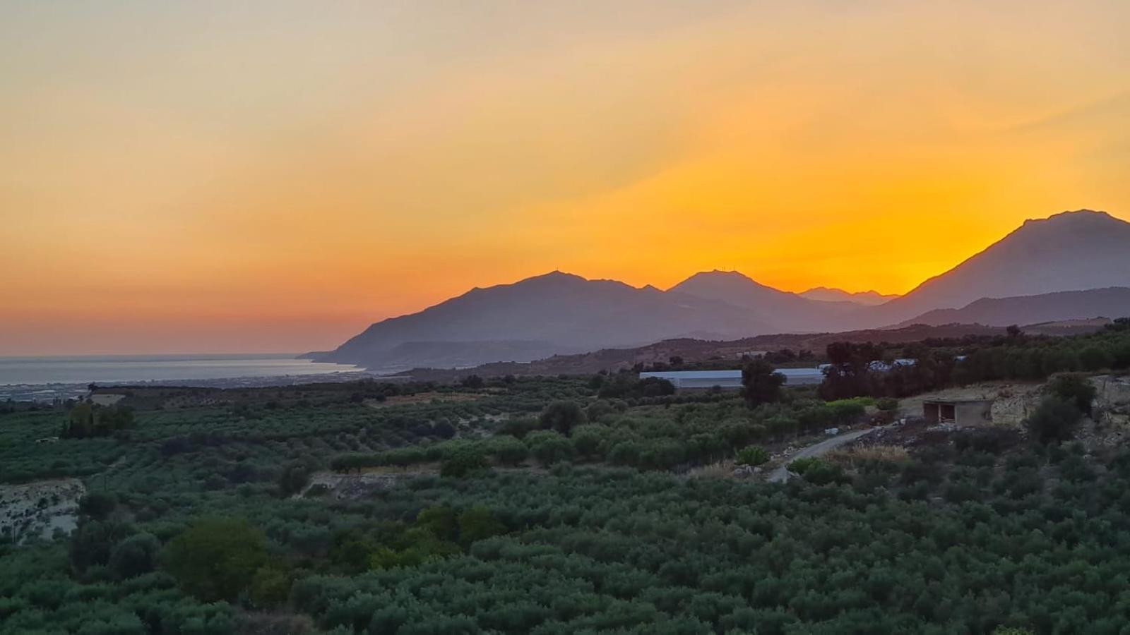 Villa Kamelia-Renovated Old House-South Crete Galiá Kültér fotó